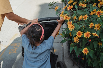 Small child hanging on to stroller reaches out to grab flowers