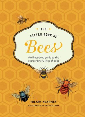 Yellow honeycomb background with Little Book of Bees