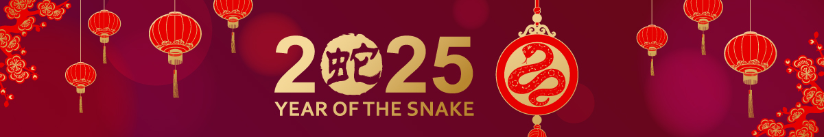 The words 2025 Year of the Snake with red and gold Chinese style lamps and a snake lamp in the background