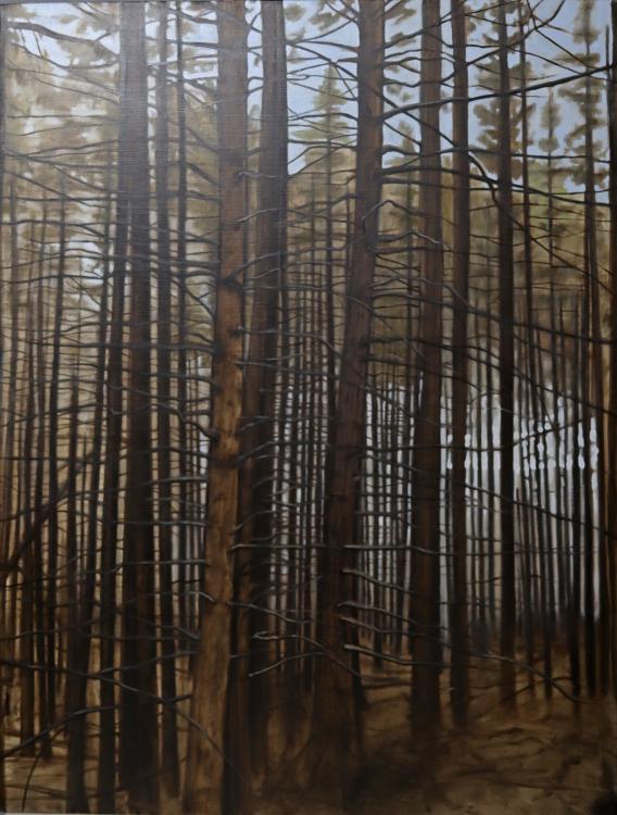 Painting of a copse of tall, straight trees with branches, but no needles--possibly forest after a burn?